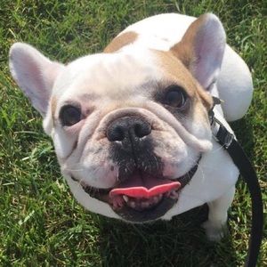 Meet your Posher, Catherine